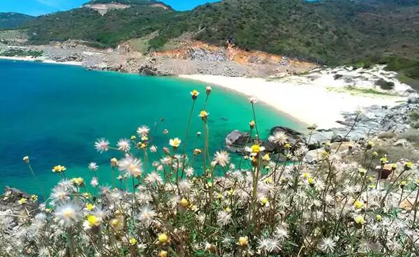 Bãi Chuối - bãi biển có màu xanh chuối lạ mắt tại đảo Bình Hưng