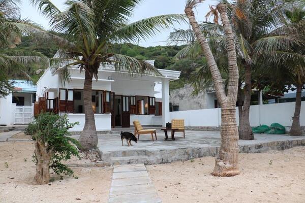 Homestay ở đảo Bình Hưng là một nơi lưu trú phổ biến cho du khách