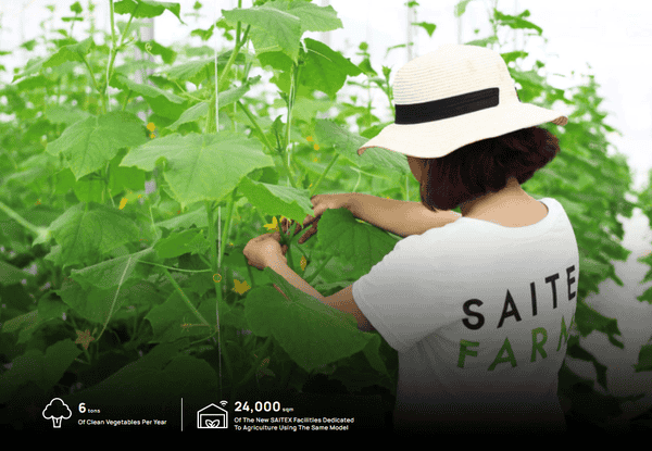 Saitex là gì? Thông tin thú vị về nhà máy Jeans sạch nhất thế giới 