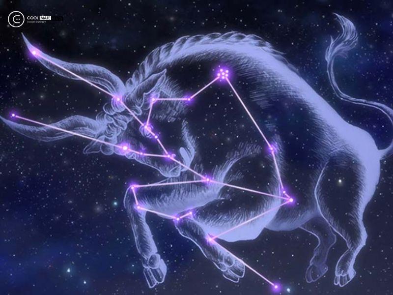 ca-si-cung-kim-nguu-noi-tieng