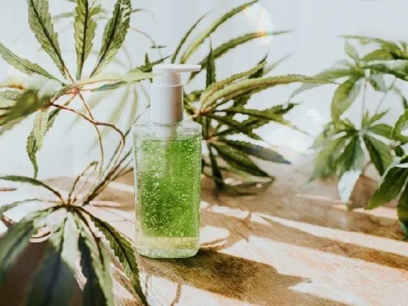 Dầu gội Organic là gì? 