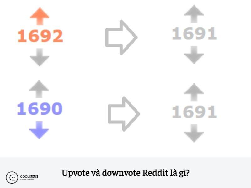 reddit-la-gi-1500