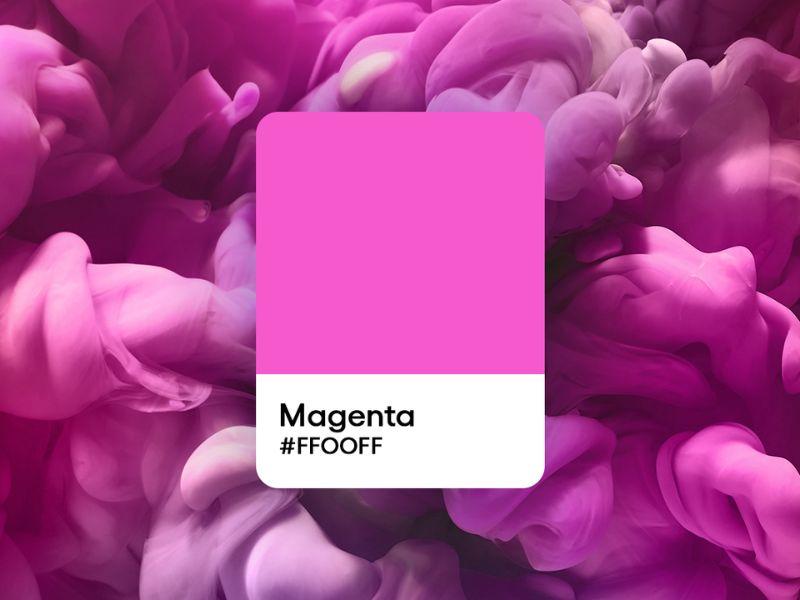 Ảnh minh họa các sắc độ của màu Magenta