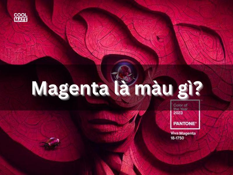 Ảnh minh họa màu Magenta