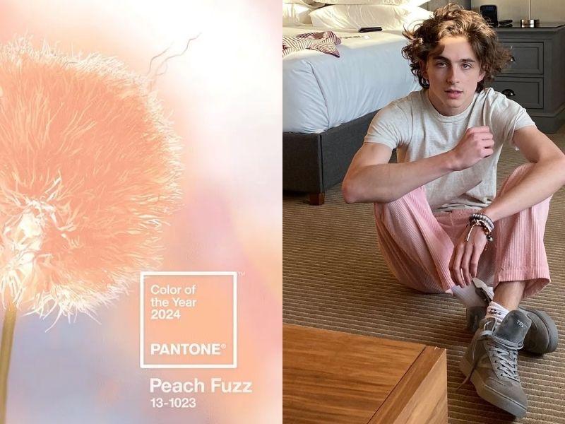 Phối đồ như nam diễn viên Wonka Timothée Chalamet