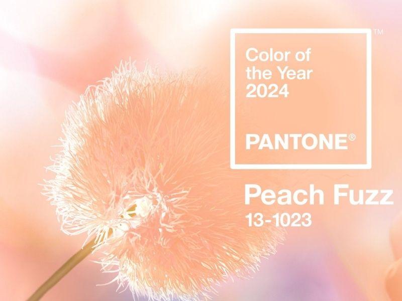 13-1023 Peach Fuzz, màu hồng đào hot trend năm 2024