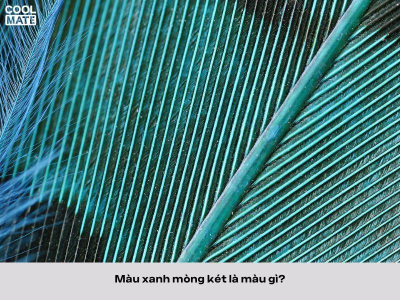 Màu xanh mòng két - một màu sắc nhẹ nhàng, tươi mới và thanh lịch