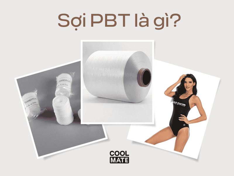 Hình ảnh minh họa sợi PBT