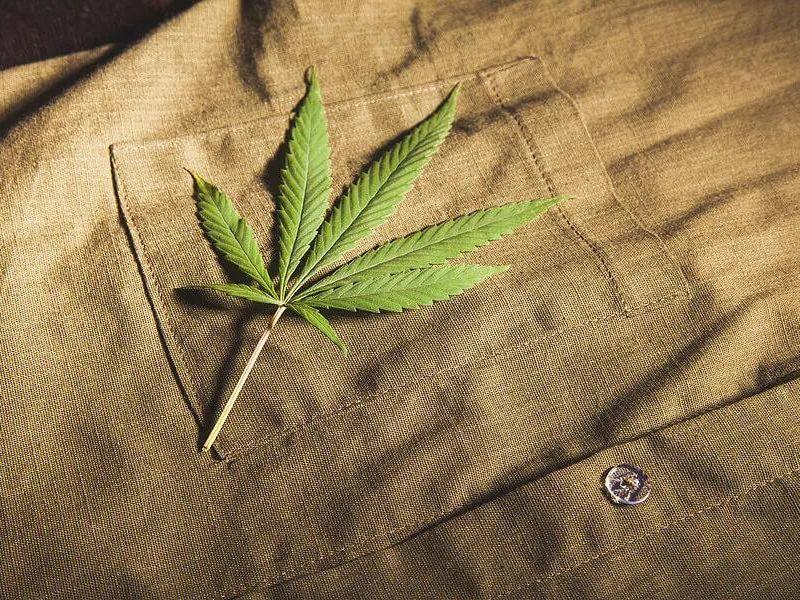Vải hemp rất bền nếu được bảo quản và chăm sóc đúng cách