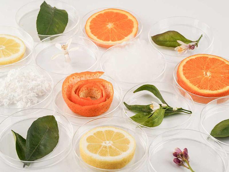 Nguồn gốc ra đời của vải sợi vỏ cam