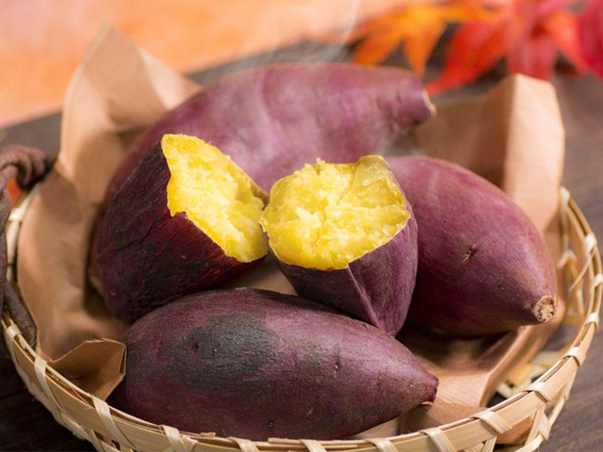 Khoai lang là nguồn Carbs phức hợp tuyệt vời