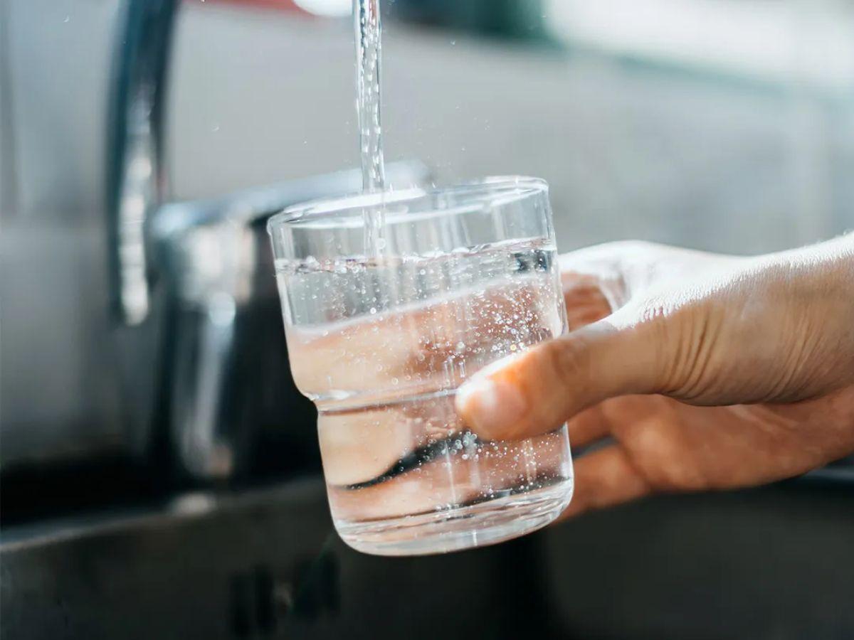 Nước giúp điều hòa thân nhiệt, vận chuyển dinh dưỡng và loại bỏ chất thải
