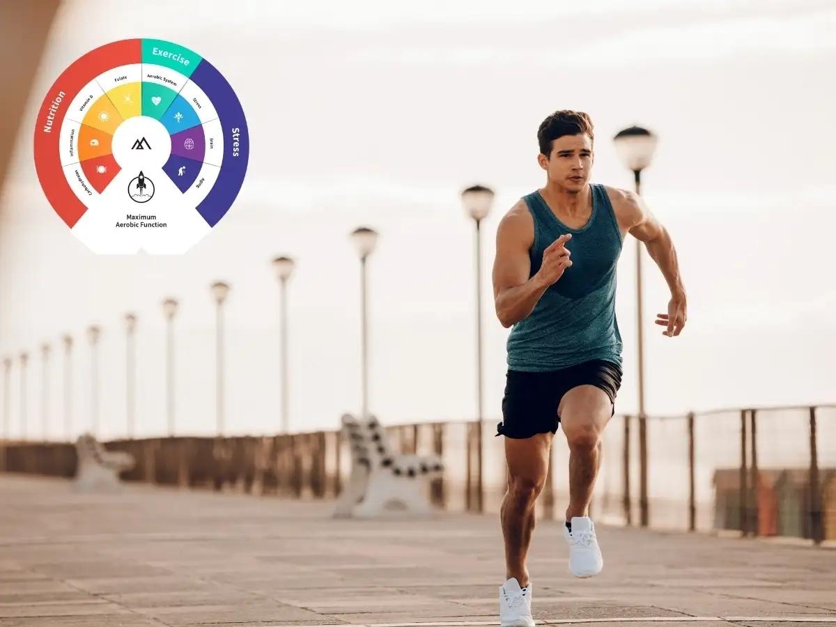 MAF (Maximum Aerobic Function) trong chạy bộ là phương pháp tập luyện dựa trên nhịp tim