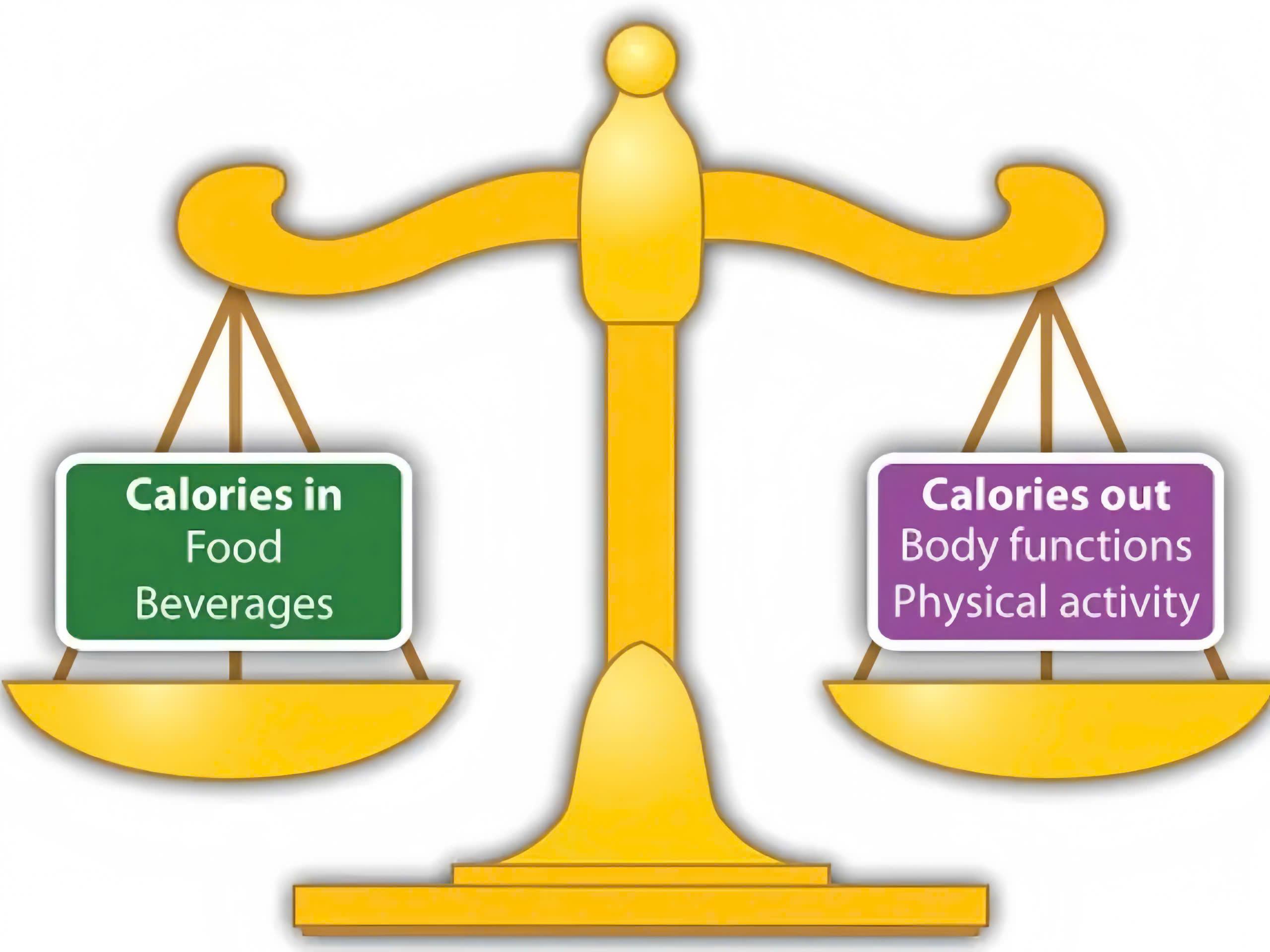 Định nghĩa thâm hụt calo (Calorie Deficit) là gì?