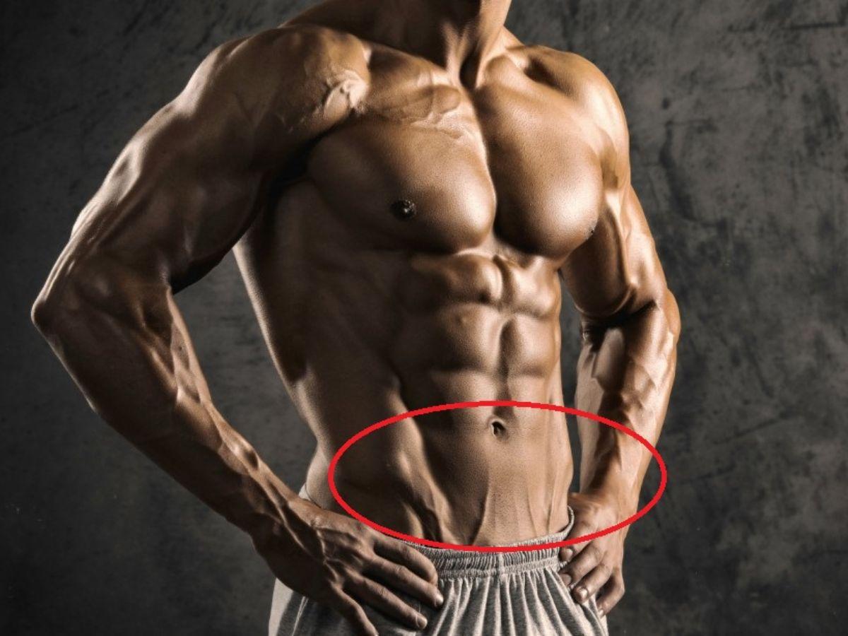 Cơ bụng dưới là nơi dễ tích mỡ nếu không tập đúng cách