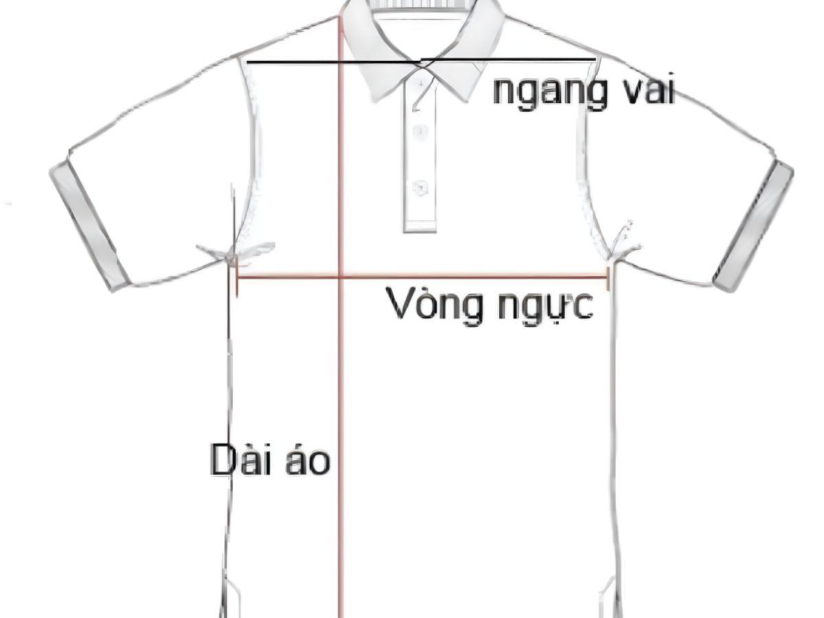 Chọn size dựa trên áo thun bạn đang mặc vừa ý