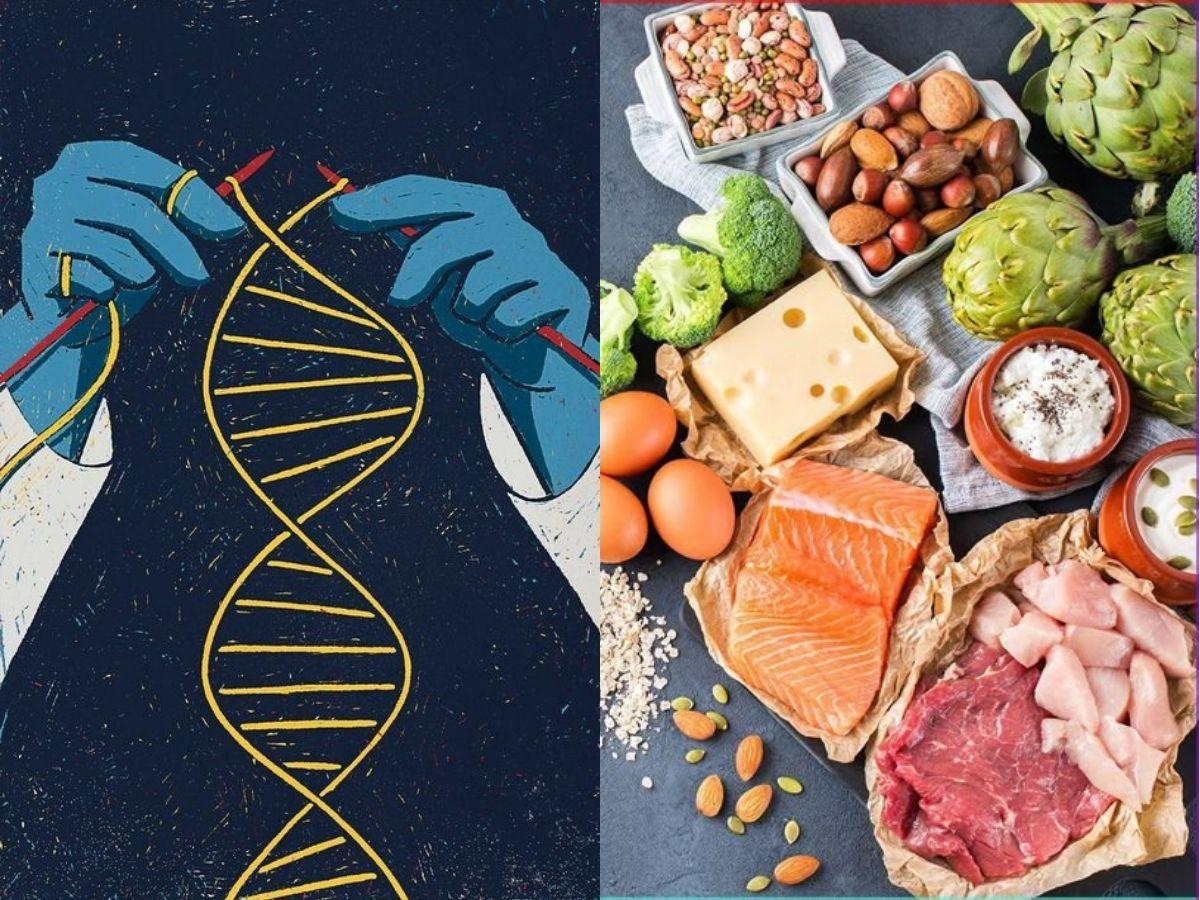 Các yếu tố ảnh hưởng đến chiều cao