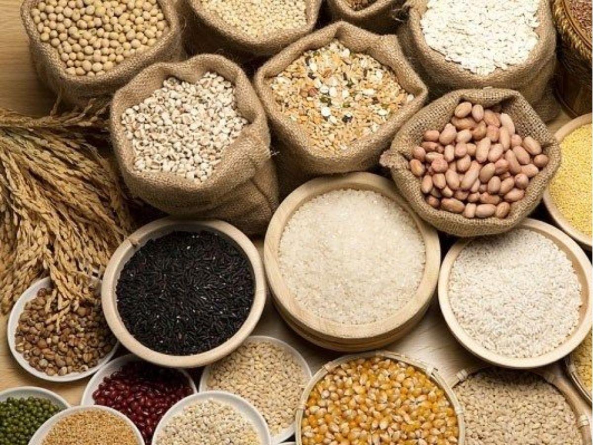 Vi Chất Dinh Dưỡng Thiết Yếu Cần Đặc Biệt Lưu Tâm