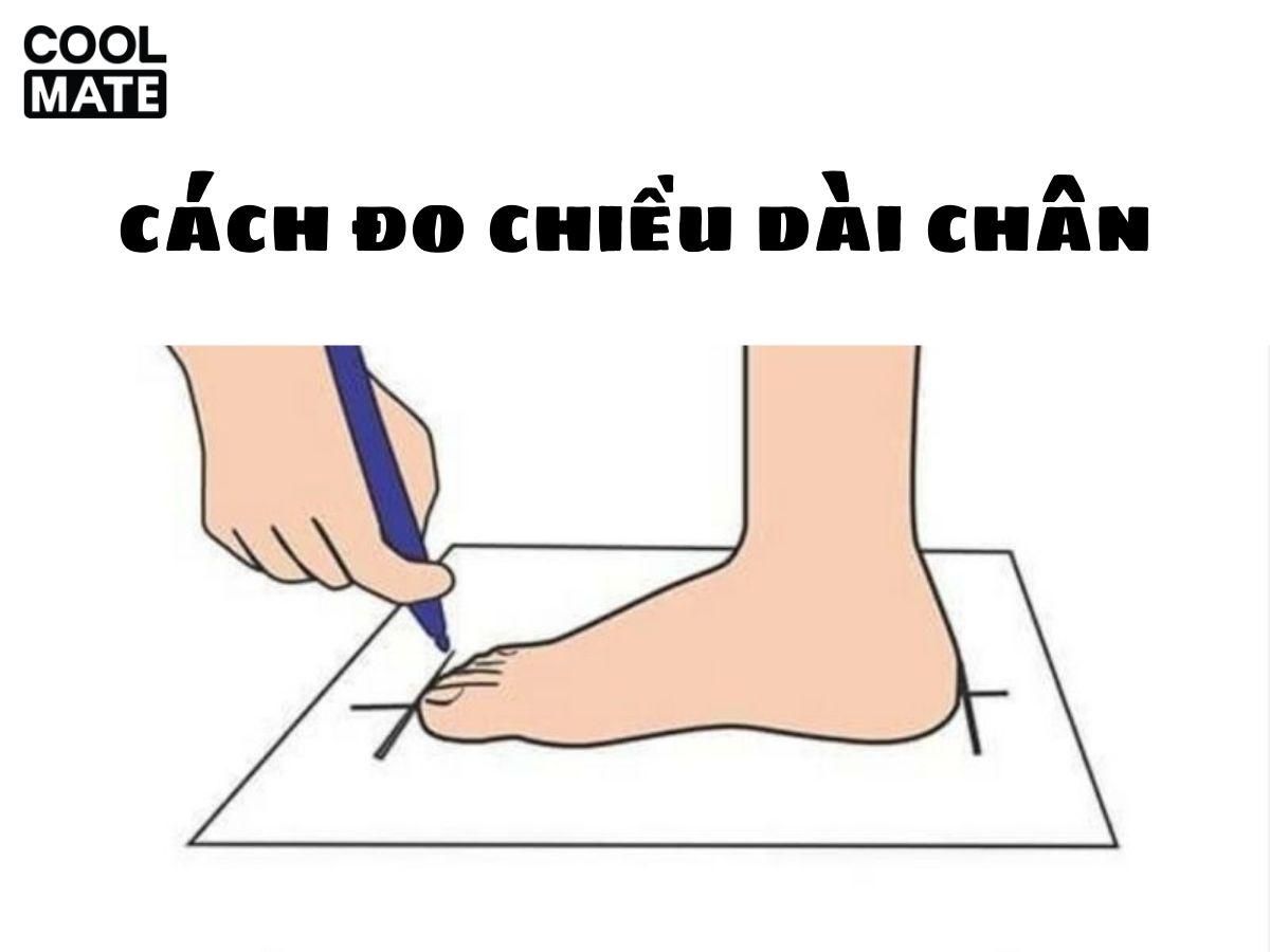 Chọn Size Giày Nữ Công Sở Chính Xác