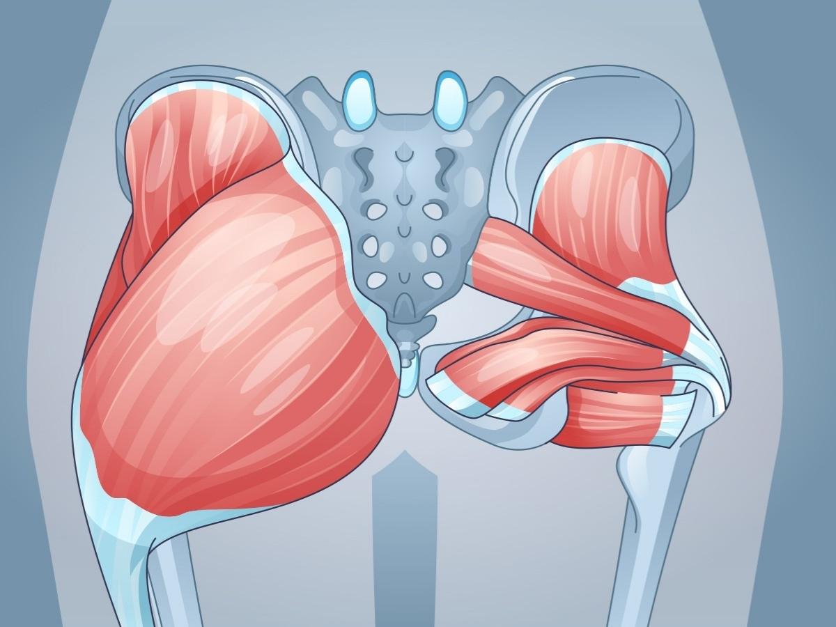 Hội chứng "Dead Butt" (Suy yếu cơ mông) xảy ra khi cơ mông không được kích hoạt đầy đủ