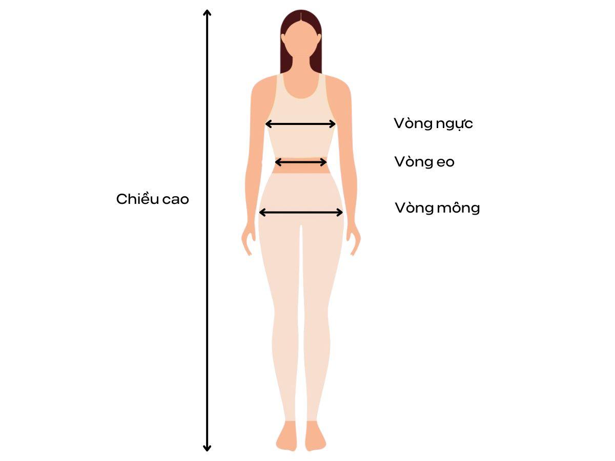 Hướng dẫn đo eo, hông, ngực cho đồ tập Pilates