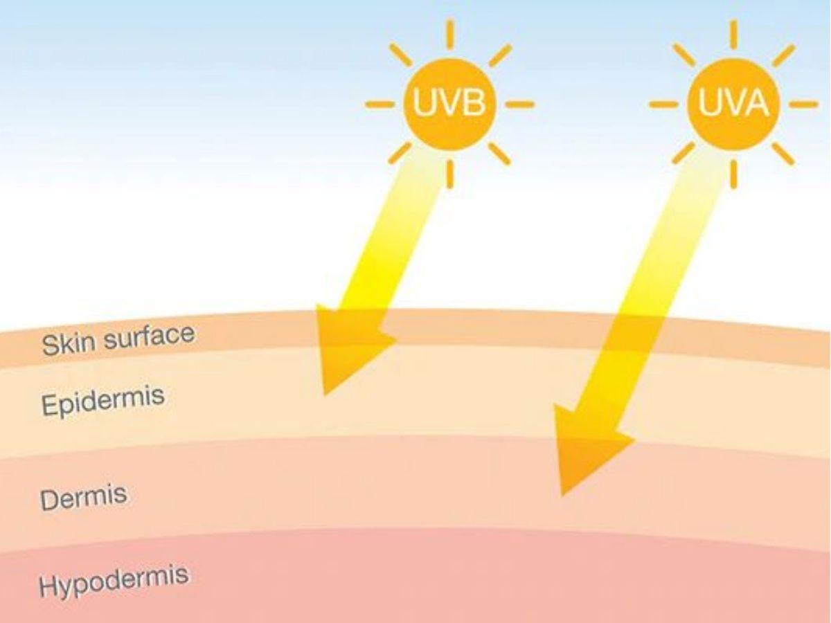 Tác hại của tia UV với da