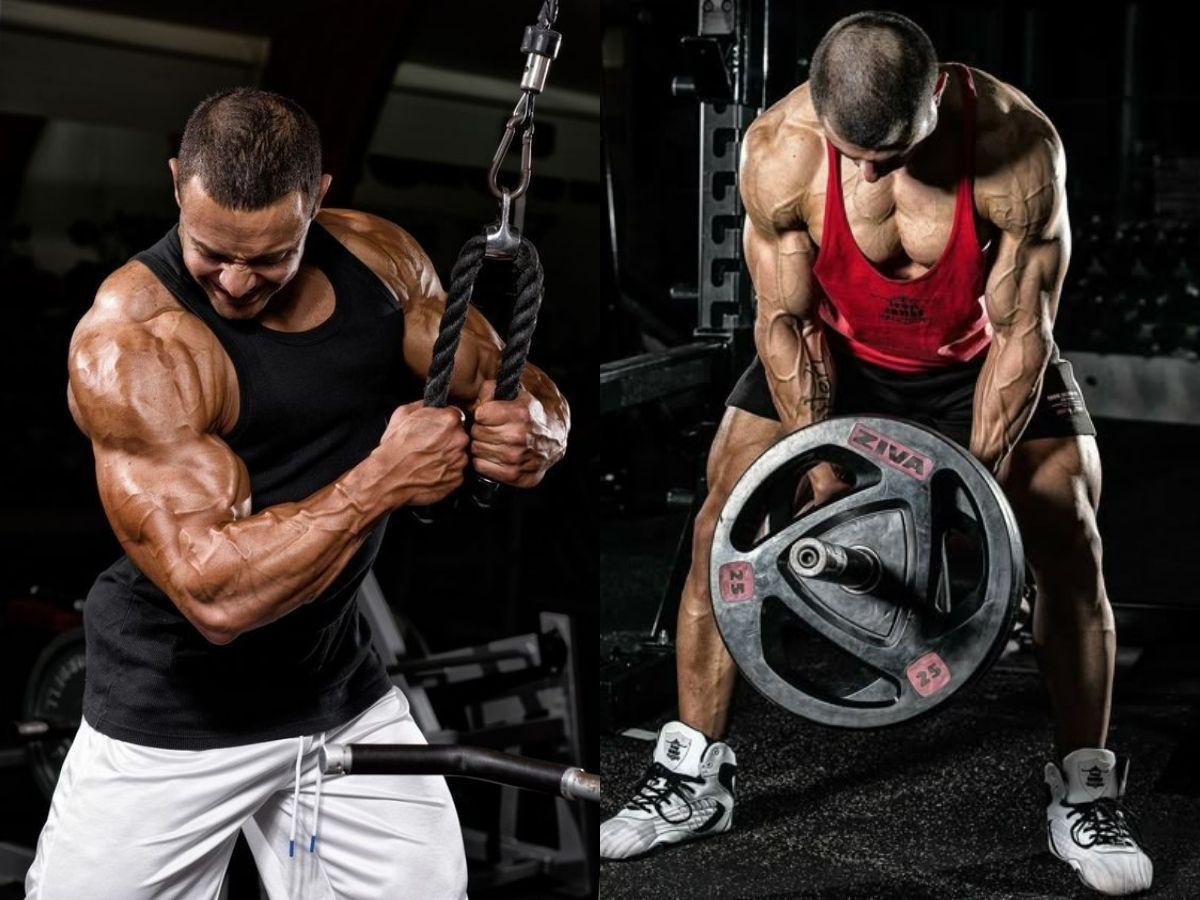Lịch tập 5 buổi/tuần cho gymer