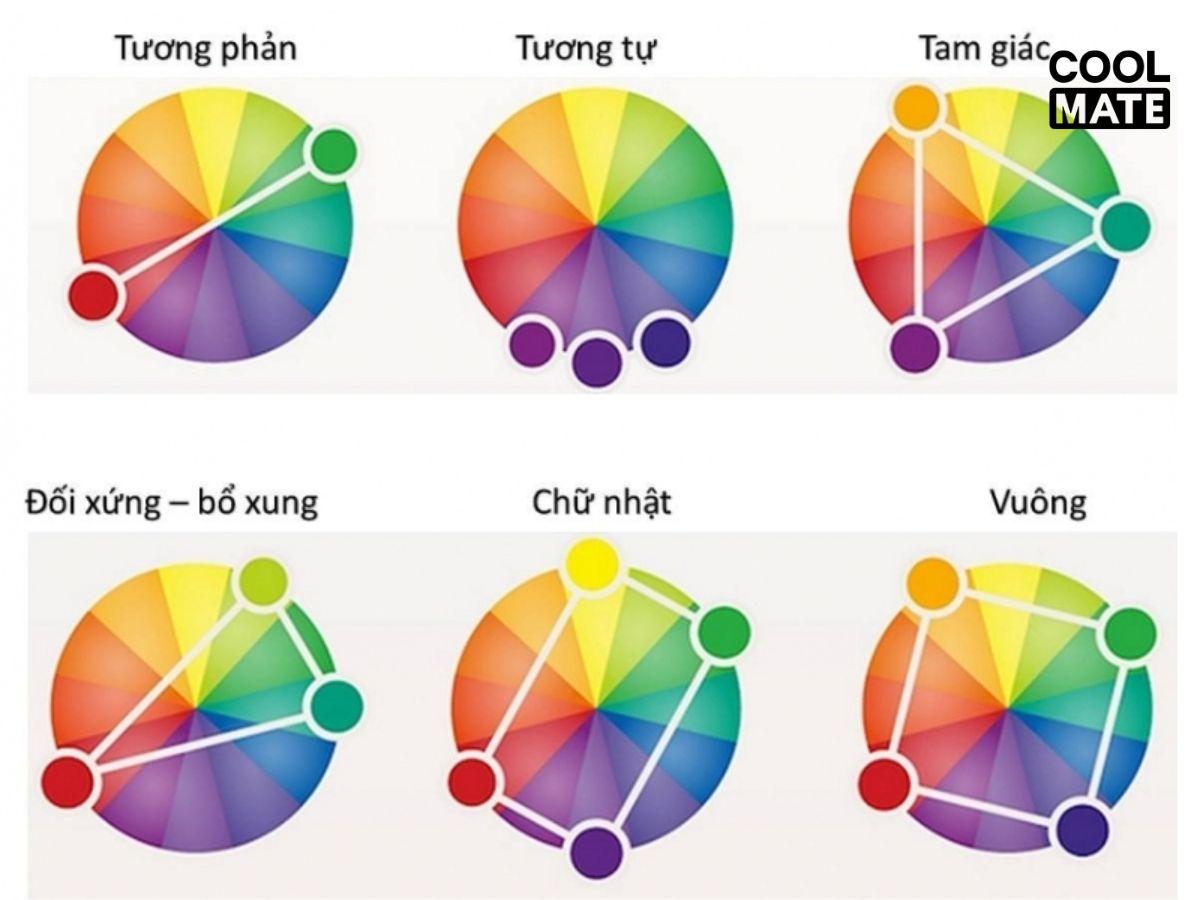 An toàn với màu trung tính, hài hòa với chi tiết họa tiết