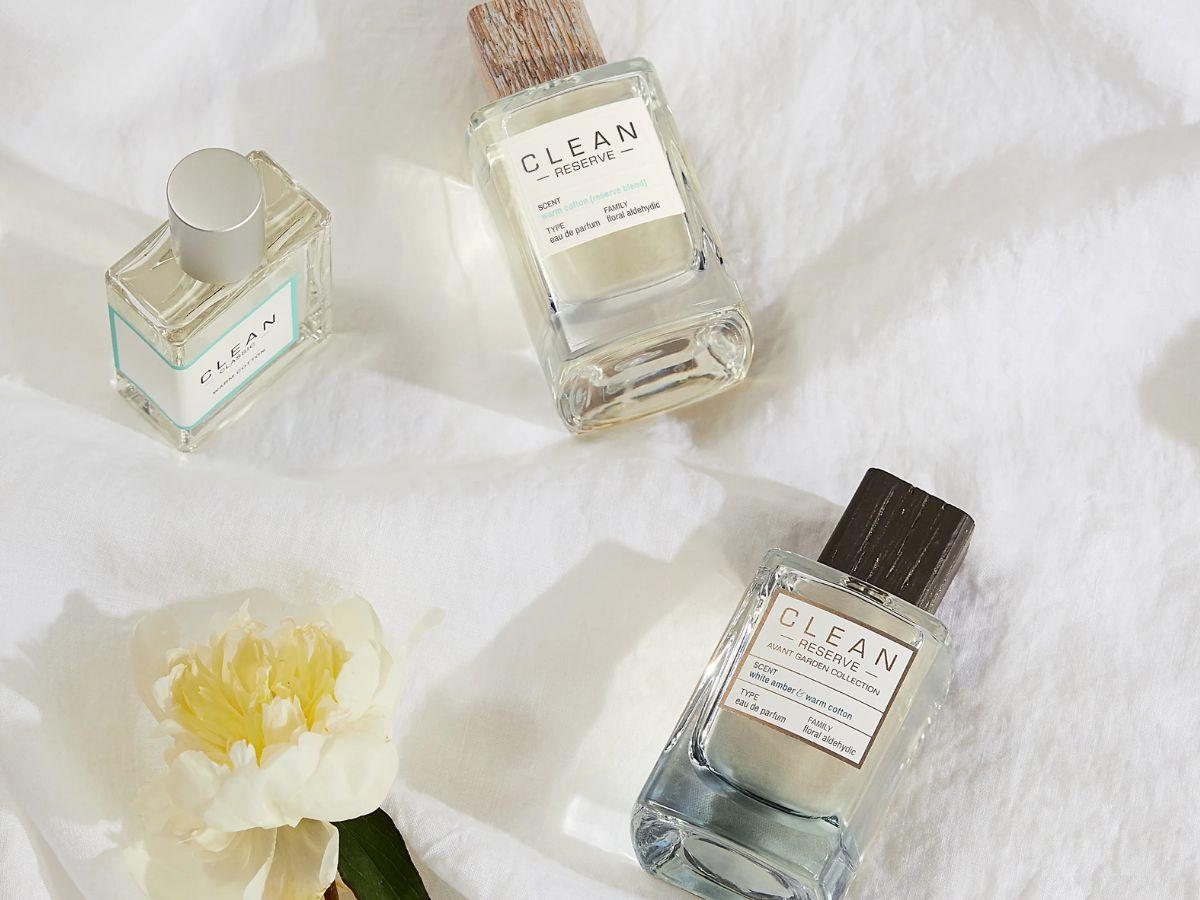Phân biệt EDT với EDP