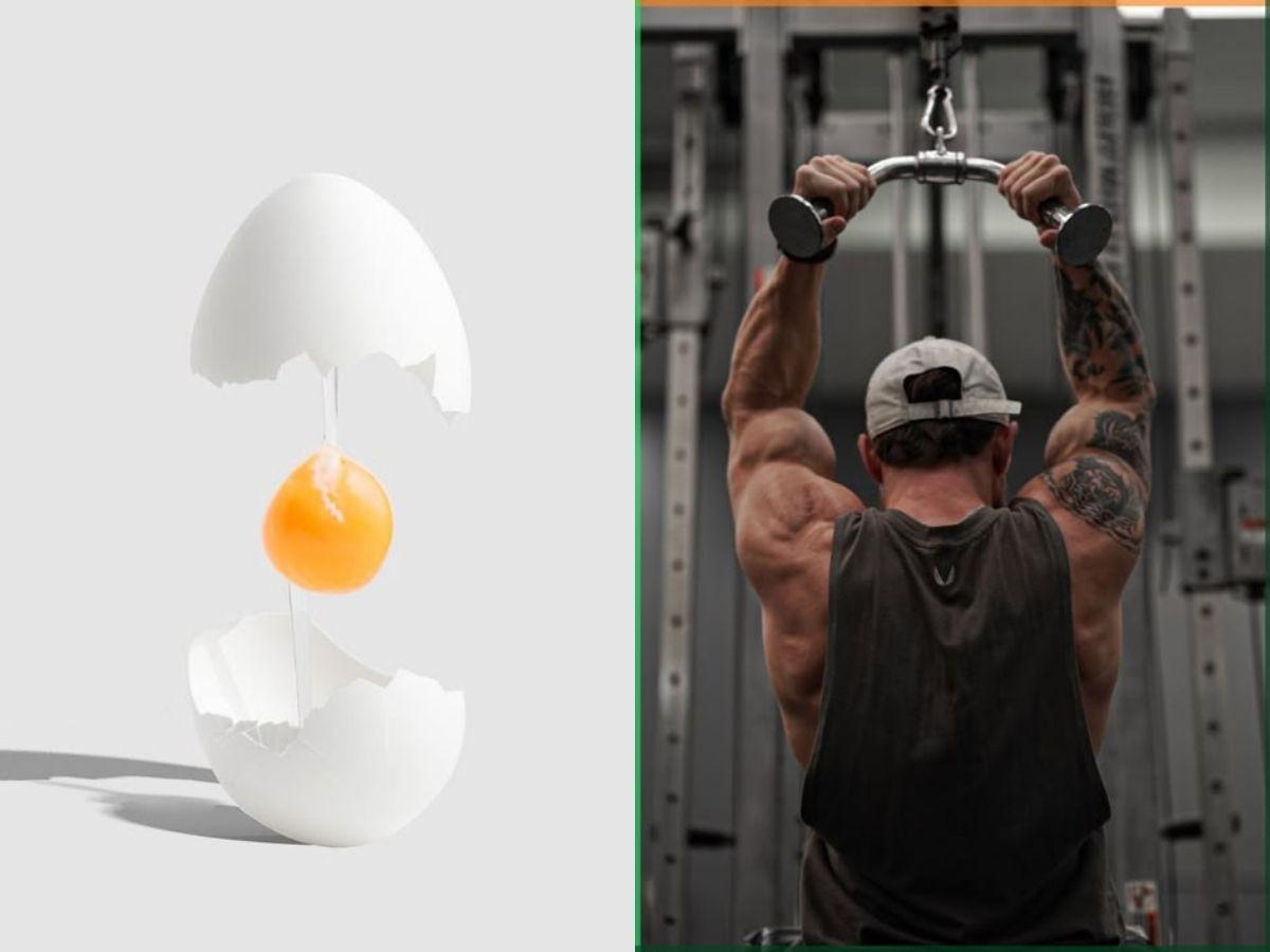 Tập gym có nên ăn lòng đỏ trứng gà sống không?
