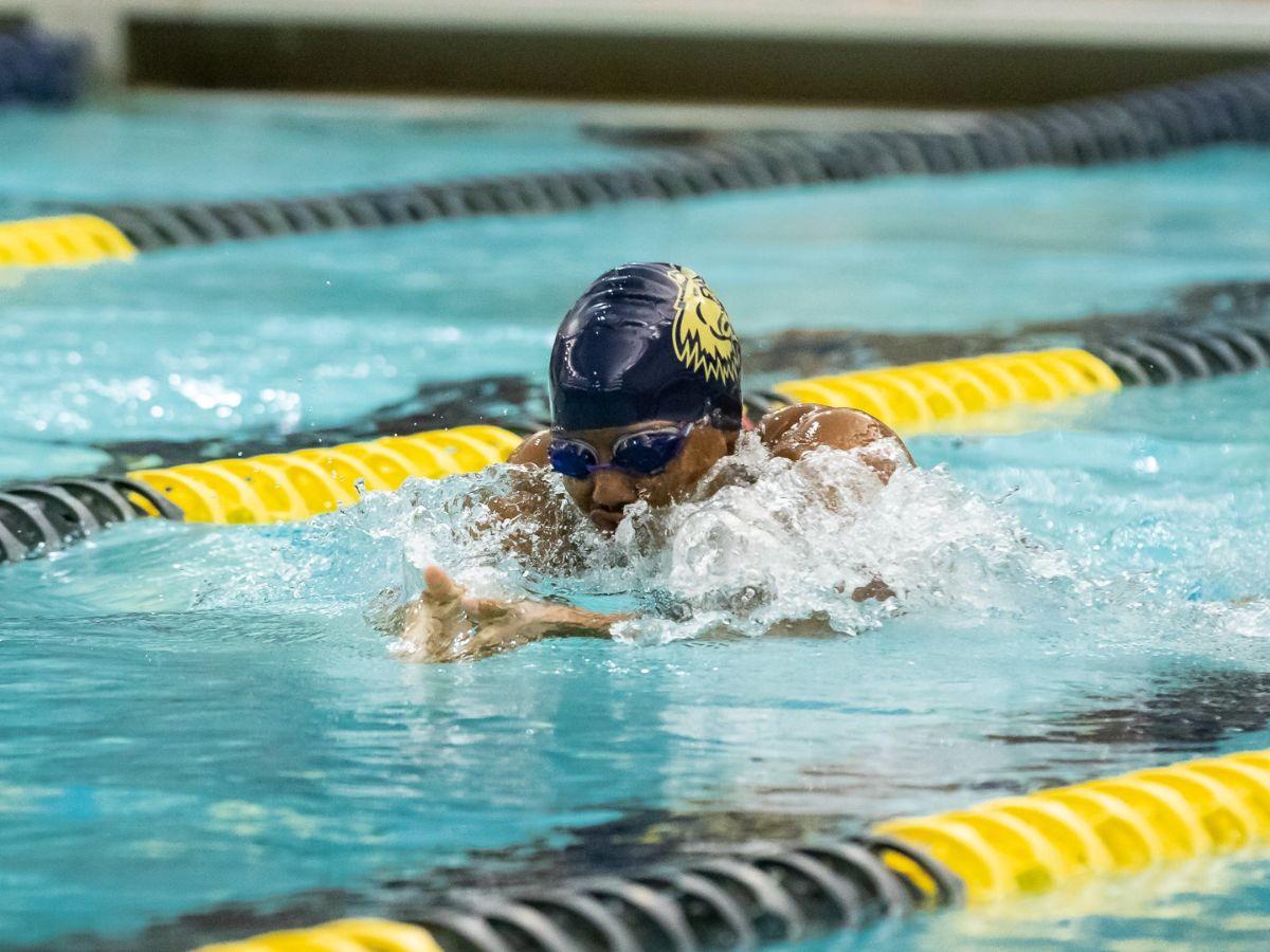 Cả gym và bơi lội đều là những hoạt động đốt calo rất hiệu quả