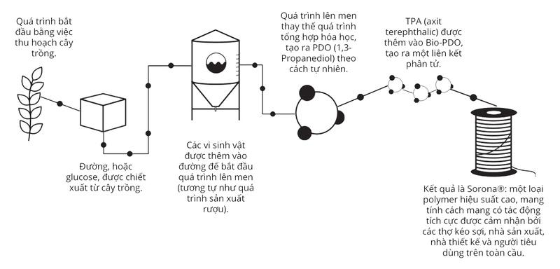 quy trình sản xuất sợi sorona