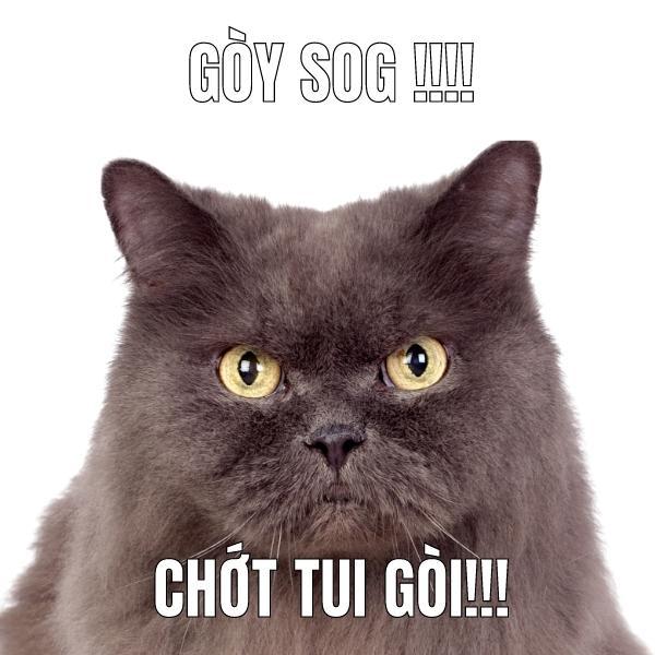 giai-ma-ngon-ngu-gen-z-10-cum-tu-hot-cua-gen-z-64