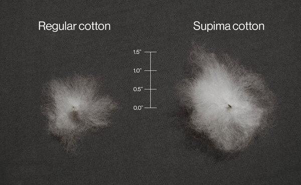 Thành phần vải Supima cotton có độ mềm mại tốt nhất