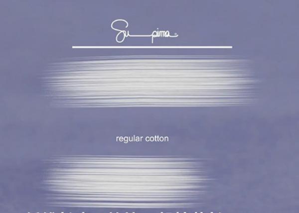Supima cotton có cấu trúc sợi vải dài hơn