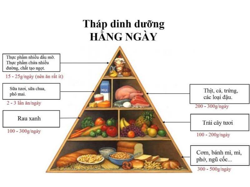 di-bo-co-giam-can-khong-2439