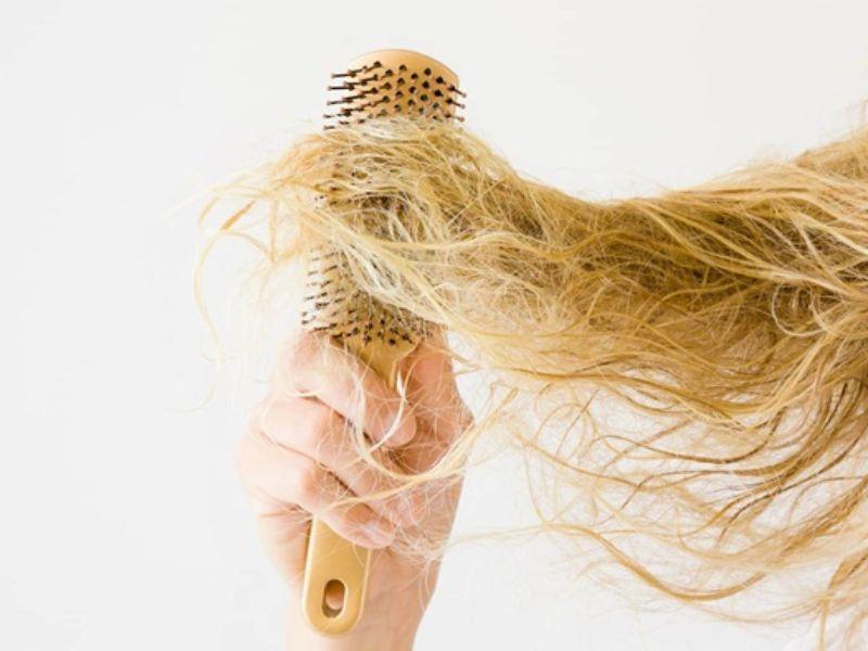 hair-tonic-la-gi-2349