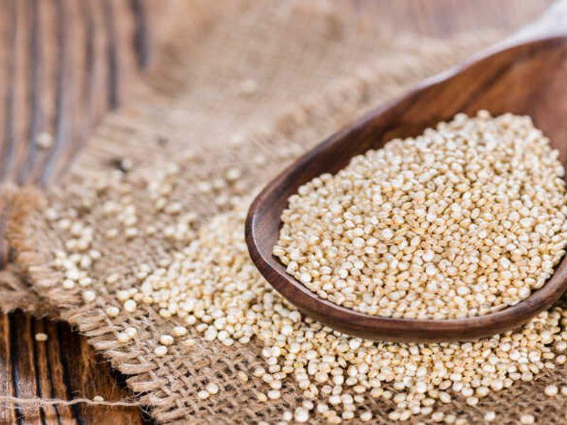 ngu-coc-cho-nguoi-tap-gym-2382