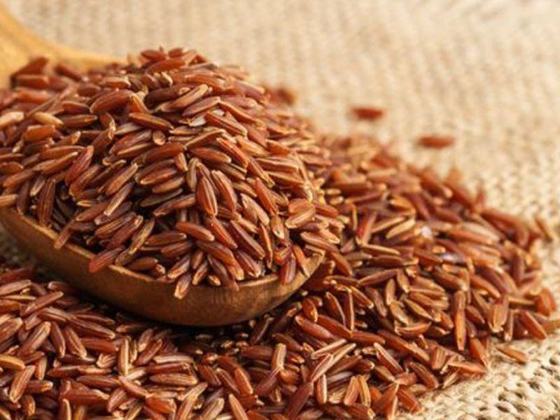 ngu-coc-cho-nguoi-tap-gym-2382