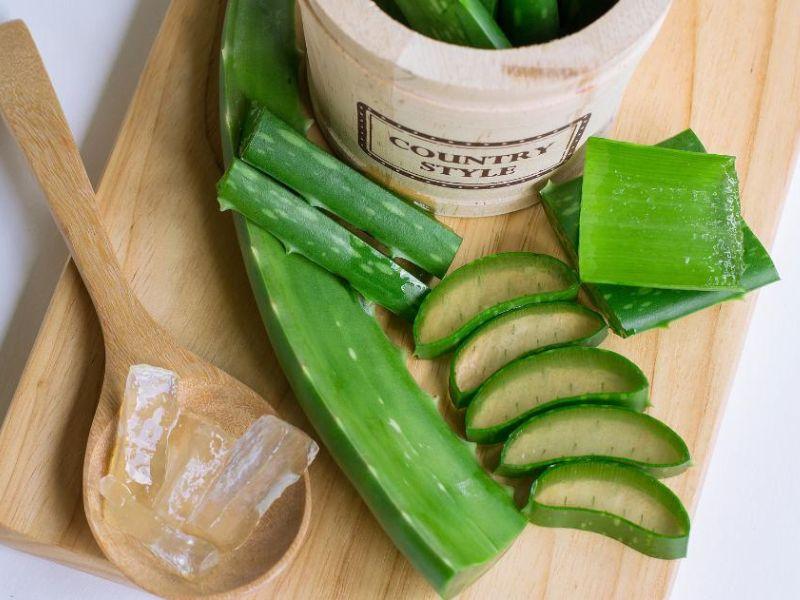 Lô hội là thành phần thiên nhiên lành tính, an toàn cho da