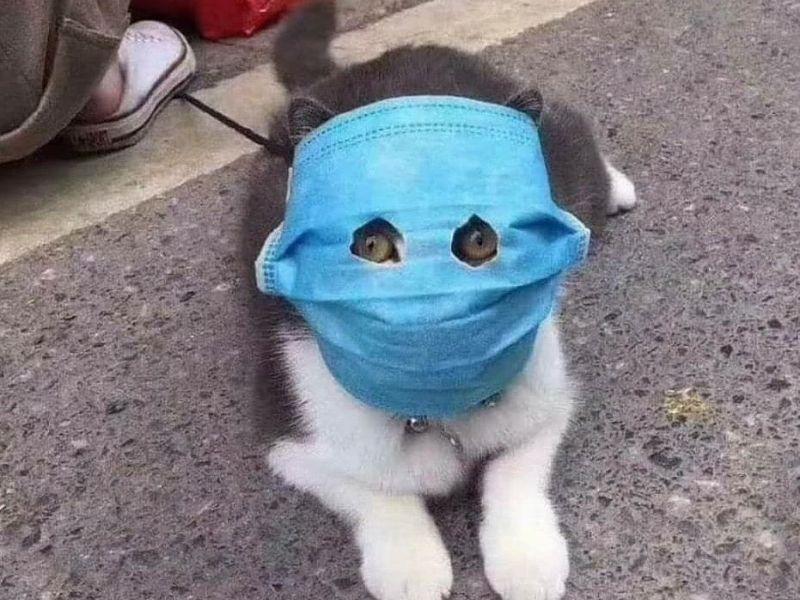 Tổng hợp những câu nói vô tri