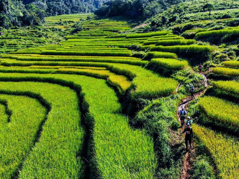 vietnam-jungle-marathon
