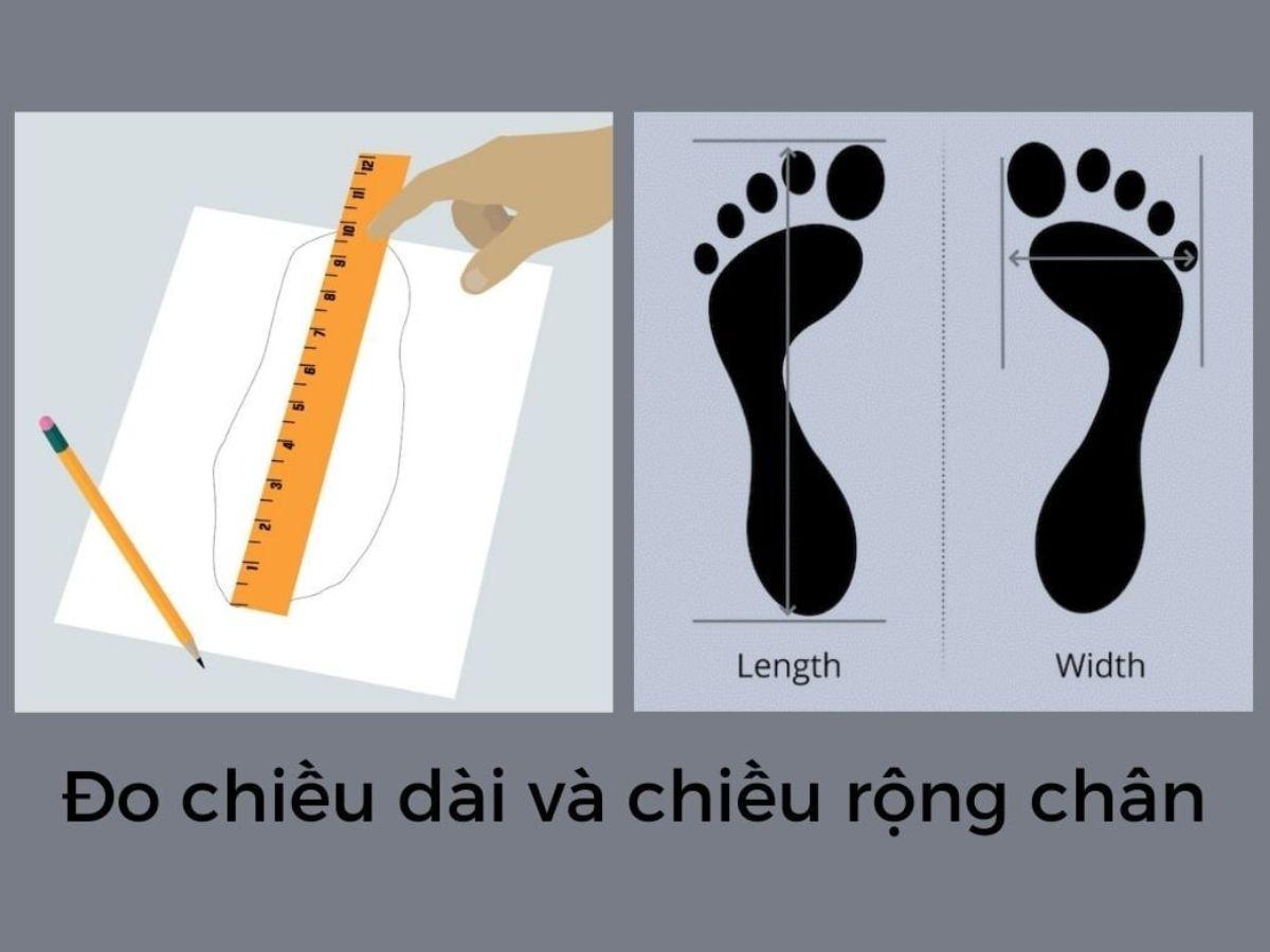 Hãy đo chân vào cuối ngày, khi bàn chân đã giãn nở hết cỡ