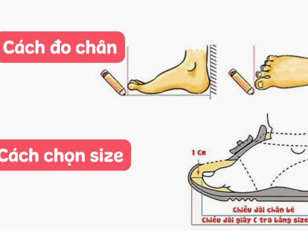  Hướng dẫn đo size chân và minh họa khoảng trống 1cm ở mũi giày