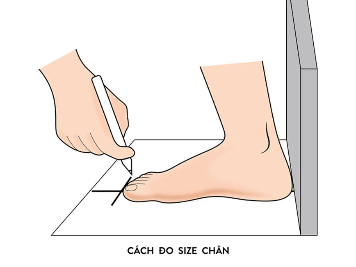 Để chọn được đôi giày vừa vặn và thoải mái, việc đo chính xác chiều dài bàn chân là điều hết sức cần thiết