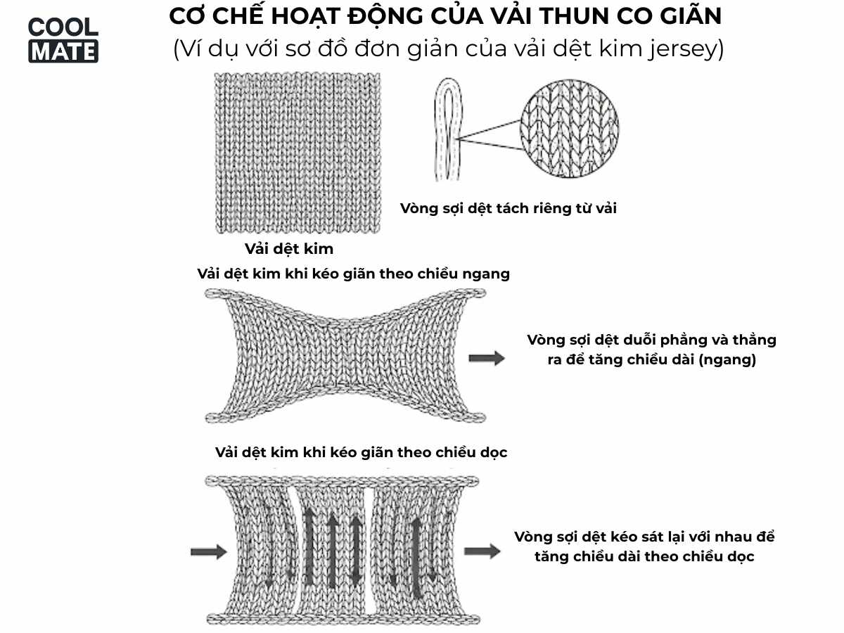 Cơ chế hoạt động của vải thun co giãn