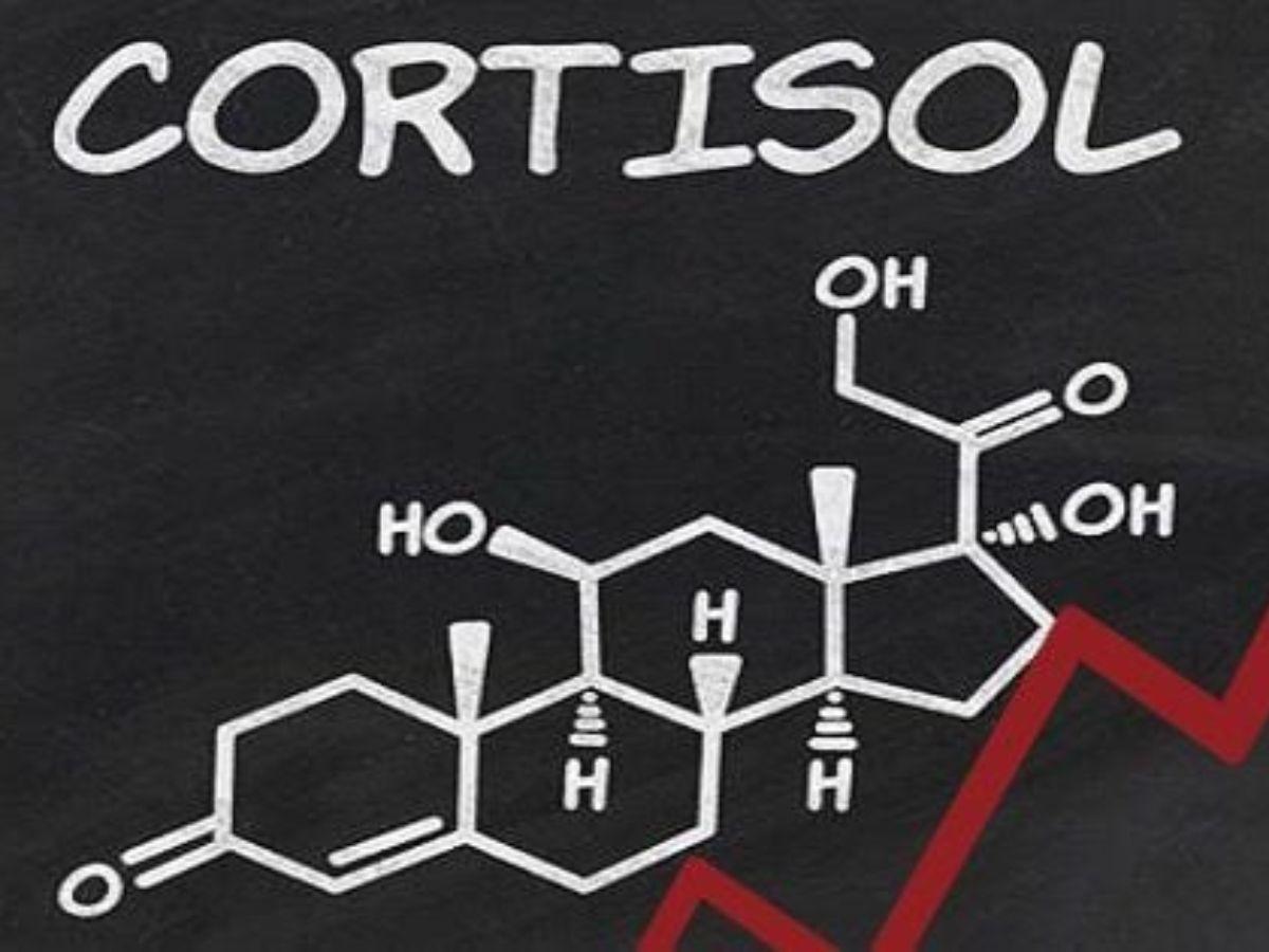 Tập nặng làm thay đổi hormone như cortisol, dễ gây giữ nước và tăng cảm giác đói
