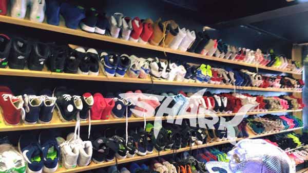 shark shop