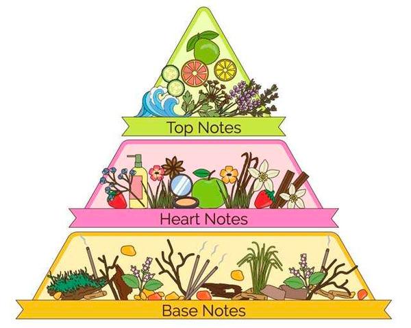 note-huong-la-gi-377