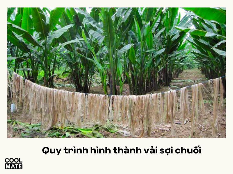 Quy trình sản xuất vải sợi chuối